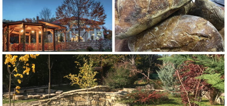 Un Halloween cât de poate de neînfricoșător. La Hotel Cetăţuia Un Halloween cât de poate de neînfricoșător. La Hotel Cetăţuia