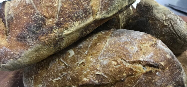 Pâine cu maia la Cetăţuia – ingredientul secret al unei experienţe de neuitat